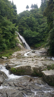 20170729_164157.jpg